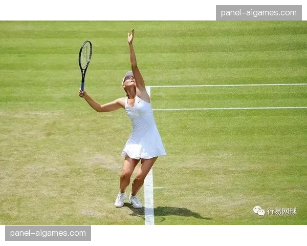 深度报道：数据时代的网球训练——AI与生物力学分析如何改变这项运动